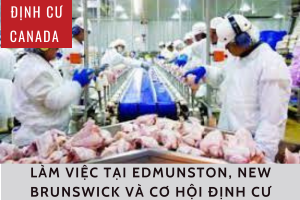 ĐỊNH CƯ CANADA: LÀM VIỆC TẠI EDMUNSTON, NEW BRUNSWICK