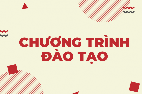 Chương trình đào tạo